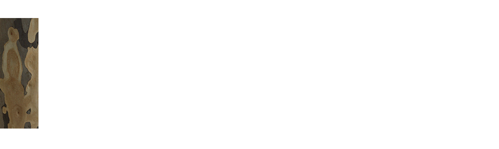 Layer